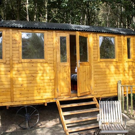 Pike'S Cabin In The Woods Hebden Bridge Eksteriør bilde