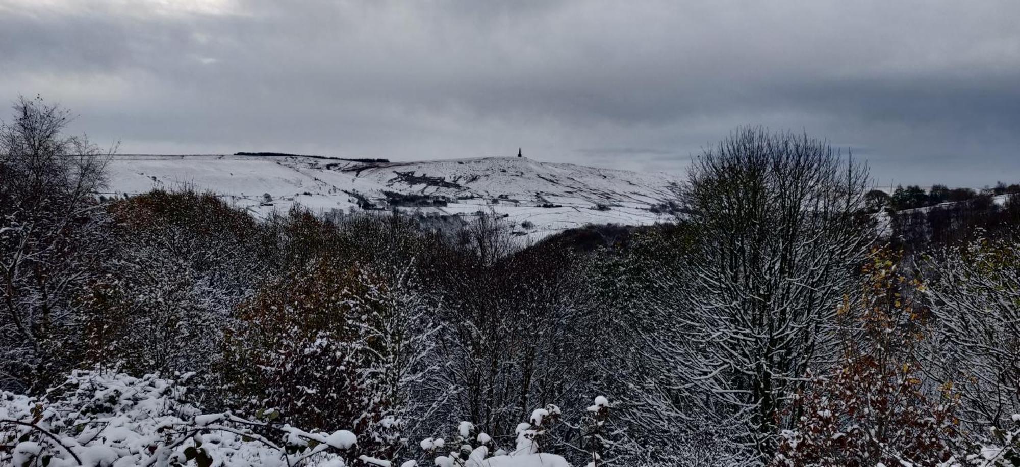 Pike'S Cabin In The Woods Hebden Bridge Eksteriør bilde